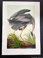 Full view of unframed print on black background