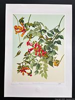 Full view of unframed print showing complete artwork and margins