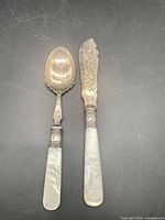 Spoon and knife full view showing handles and blades