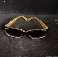 Front view of Coach Delphine S443 sunglasses showing rectangular frame and lenses