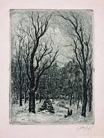 Full framed view of etching artwork