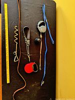 Full layout of all dog accessories on surface