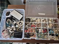 Overview of two plastic boxes filled with assorted costume jewelry