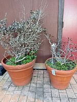 Both terracotta planters side by side showing size and condition