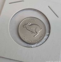 Reverse of 1967 nickel five-cent coin with rabbit design in holder