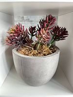 Front view of artificial succulent arrangement in gray cement pot