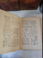 Interior pages with botanical illustrations and text