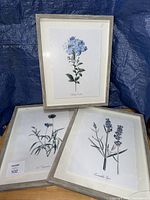 Three framed botanical prints displayed against backdrop