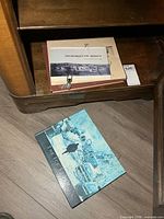 Books in cabinet showing The Ice Storm and stacked softcovers