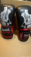 Front view of both gloves showing dragon graphics and Double Dragon ZO-8 wrist labels