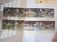 Full view of unfolded sheet showing all 12 colour photographs and captions