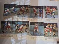 Eight photo prints laid out showing full set