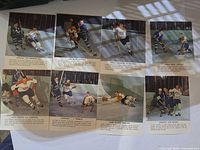 Group shot of all eight photographs laid out