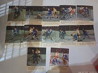 All twelve colour photographs arranged on surface