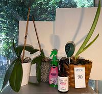 Overall lot showing three orchids, plant food mist, bloom enhancer, soil meter