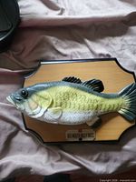 Front view of animatronic fish on plaque