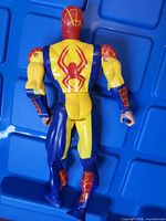 Back view displaying spider emblem and paint wear