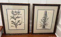 Both framed botanical prints side by side