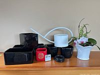 Group shot showing all planters, watering can, plant stand, and orchid