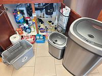 Overview showing large and small sensor trash cans, gray bin, cleaners inside cabinet and on floor