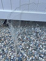 Rolled section of chicken wire standing upright
