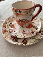 Cup on salad and dinner plate showing pattern and red rim