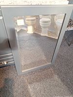 Front view of charcoal framed mirror