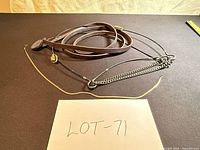 Full view of leather reins and attached chain martingale with brass medallions