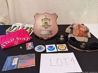 Full lot view showing plaque, caps, shirts, stickers, patch, pins