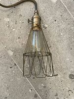 Full view of pendant showing wire cage closed around Edison bulb
