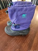 Left side view of both boots showing purple upper, teal accents, black rubber foot