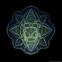 Platter under 365 nm UV showing yellow-green fluorescence