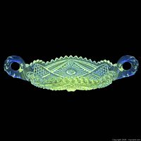 Dish under UV light showing green fluorescence