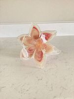 Front view of glass flower showing coloration and petal shape