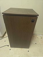 Front view of GE woodgrain mini fridge