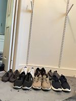 All seven pairs lined up for overall view