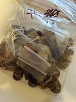 Large resealable bag filled with assorted pennies, two smaller inner bags visible