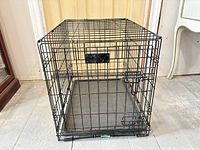 Overall view of metal wire dog crate front and side, tray in place