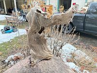Driftwood sculpture side view on rock base