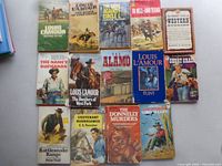 Overhead view of all fourteen paperback books arranged in rows, showing front covers and titles