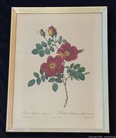 Full view of framed lithograph showing image, frame and glass