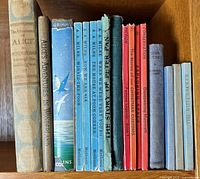 Spine view of all twelve books on shelf