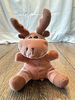 Moose face side with antlers visible, full plush body