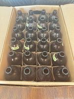 Top view of 24 amber stubby bottles in cardboard divider