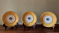 Front view of all three plates on stands