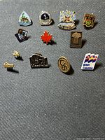 All 11 provincial and wildlife lapel pins displayed on fabric backdrop