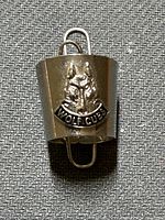 Front view showing raised wolf head and WOLF CUBS text on silver-tone woggle