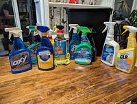 Group shot of all nine cleaners on table