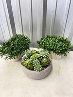Front view of all three artificial plants