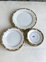 Three representative plates showing pattern and sizes